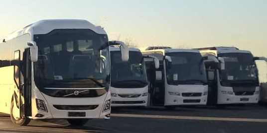 charter buses for transfers and sightseeing tours